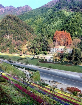 黄山天外来客山庄外观图片