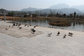 黄山福泰VISTA庄园广场图片